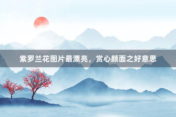 紫罗兰花图片最漂亮，赏心颜面之好意思