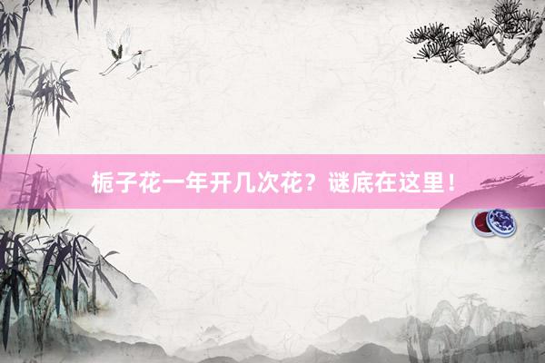 栀子花一年开几次花？谜底在这里！